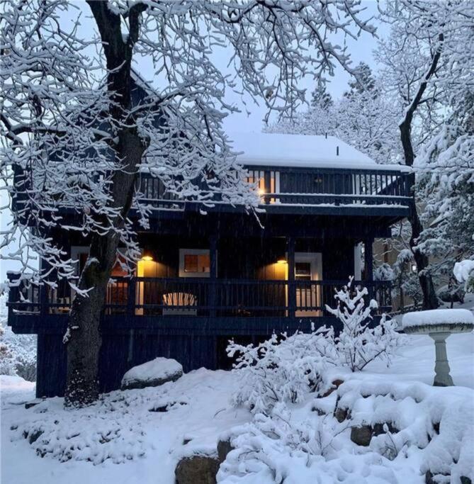Charming Getaway Cabin Lake Arrowhead Zewnętrze zdjęcie